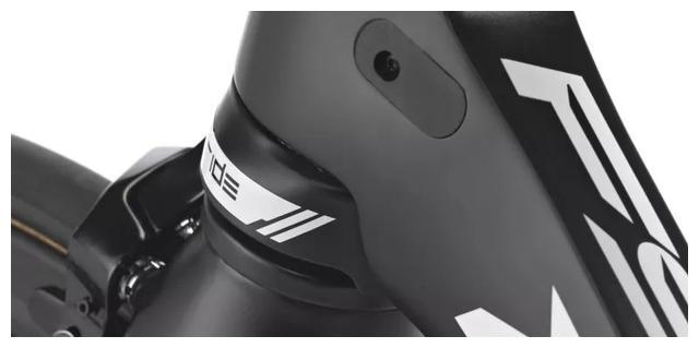 dogma fs
