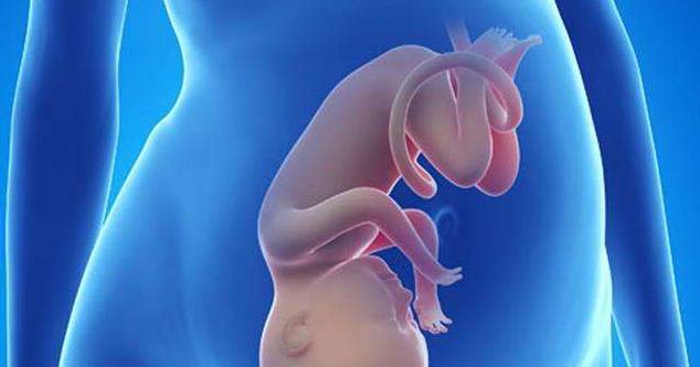 胎儿孕38周和孕40周出生有啥区别单凭这2点很少有人知道