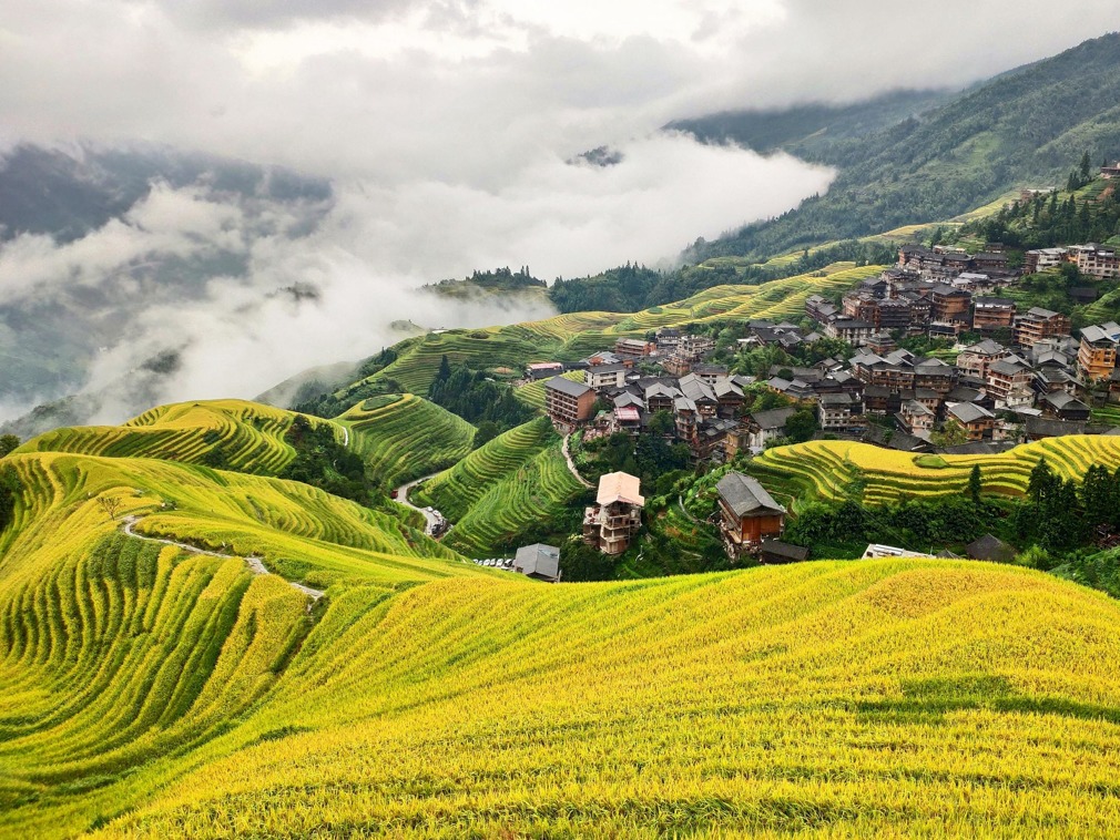 广西体育局召开年度工作会议部署竞技体育新战略