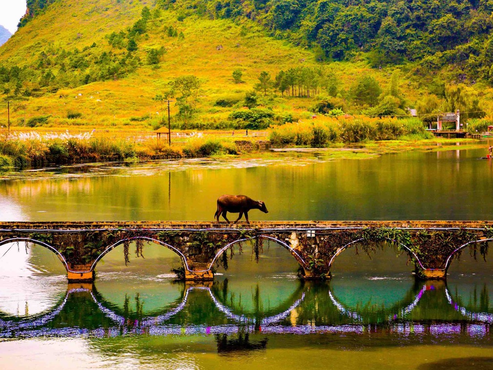 广西体育局公布2024年重大体育赛事承办日程安排