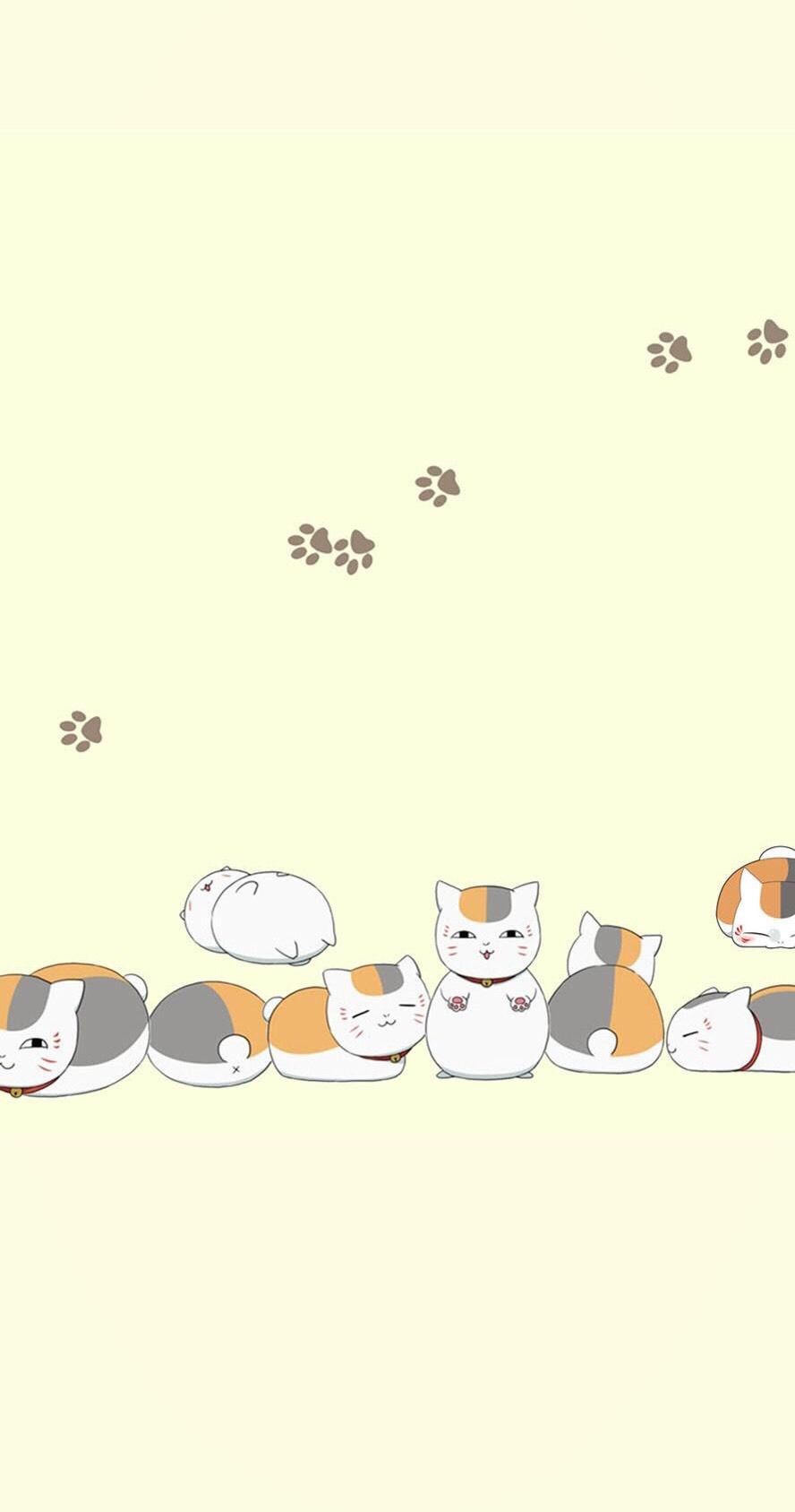 王木木烧烤视频高清版