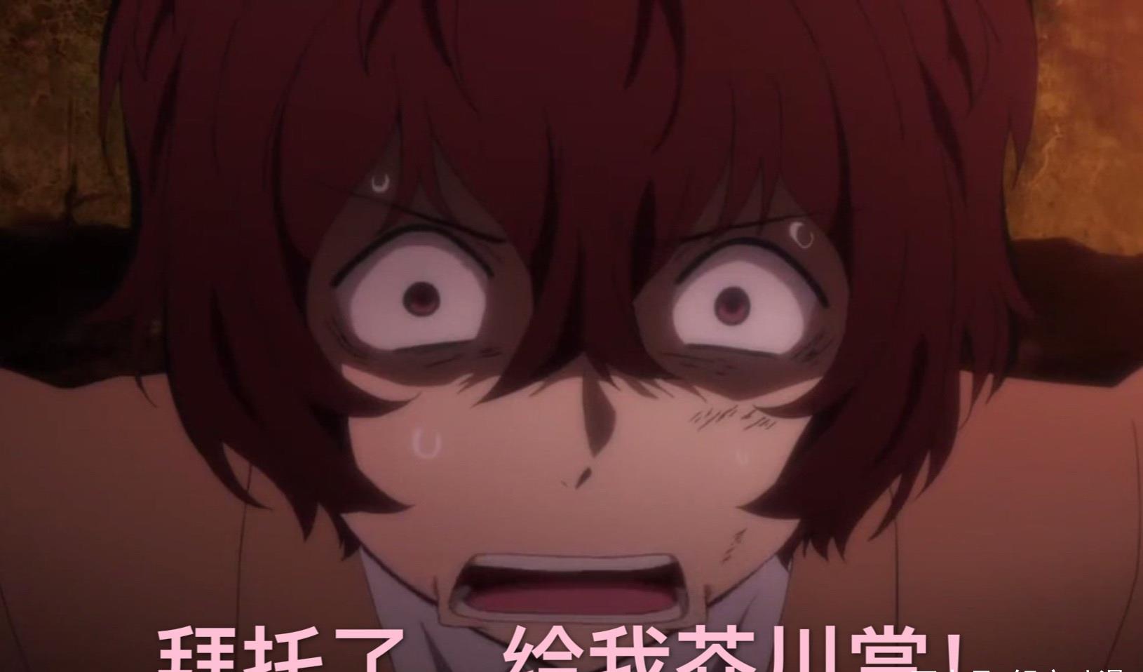 文豪野犬 太宰对芥川的态度 让人可怜吗 文豪 黑手党 认可 新浪新闻