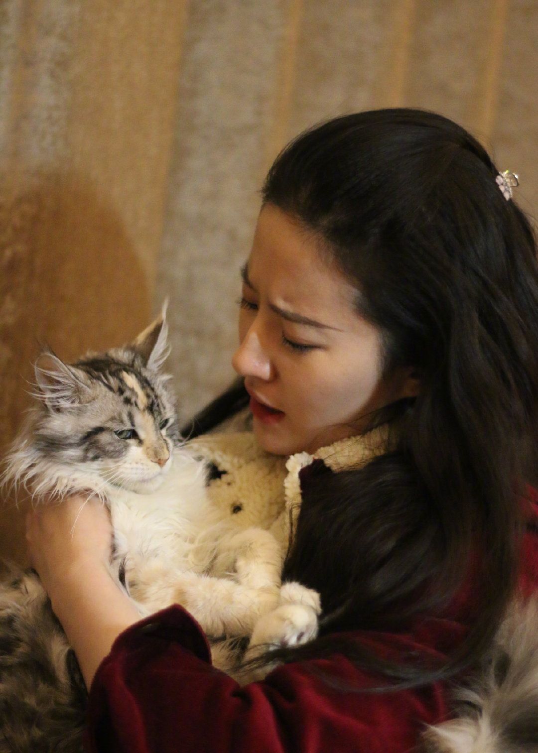 刘亦菲撸猫写真曝光，两物皆仙气十足 -- 眼界，放眼世界