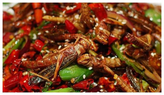 油炸蚂蚱大家吃过没有?口感很特别的,吃起来也是嘎嘣脆