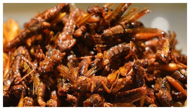 油炸蚂蚱大家吃过没有?口感很特别的,吃起来也是嘎嘣脆