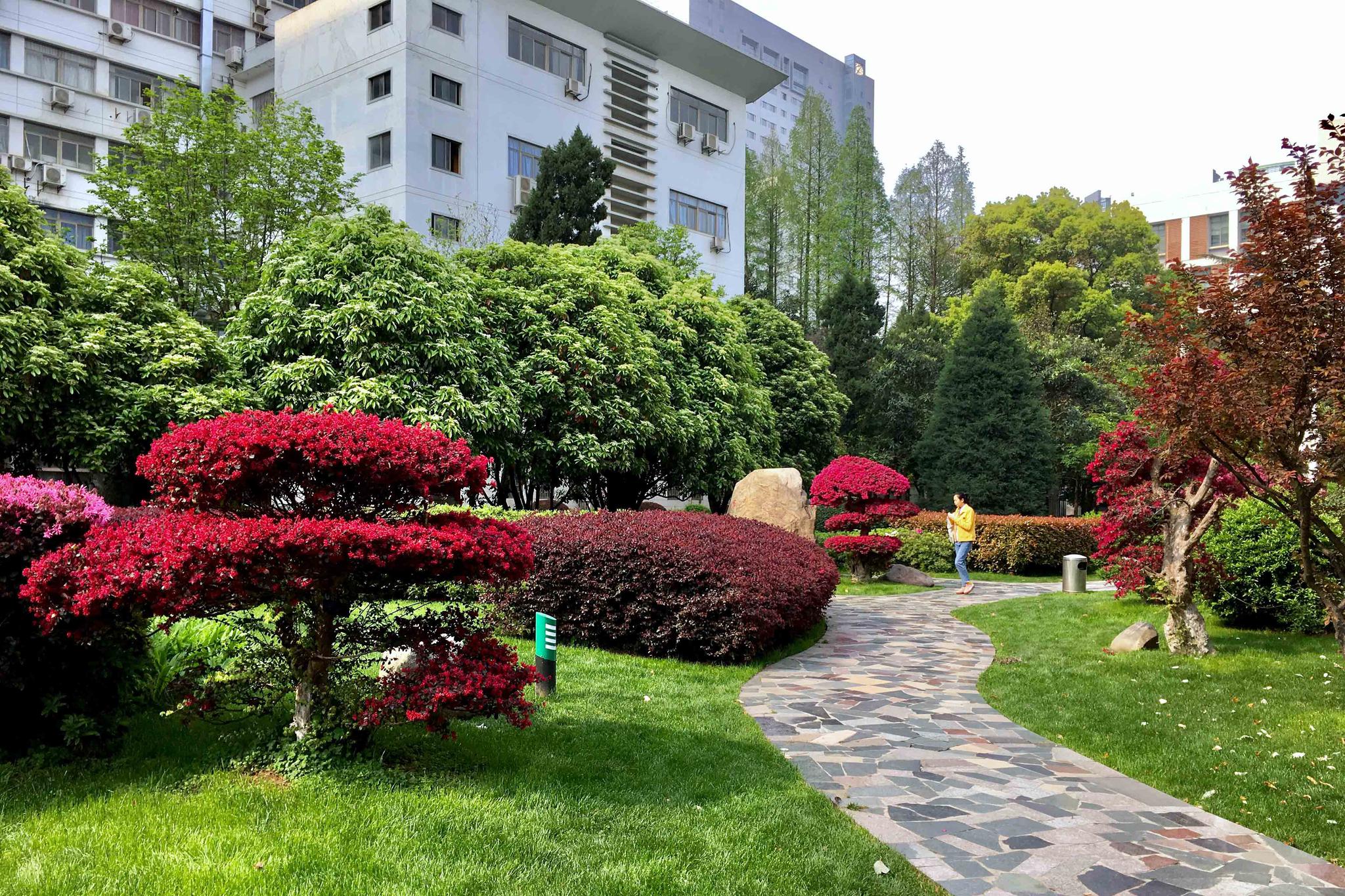 同济医学院校园小景【湖北 武汉】