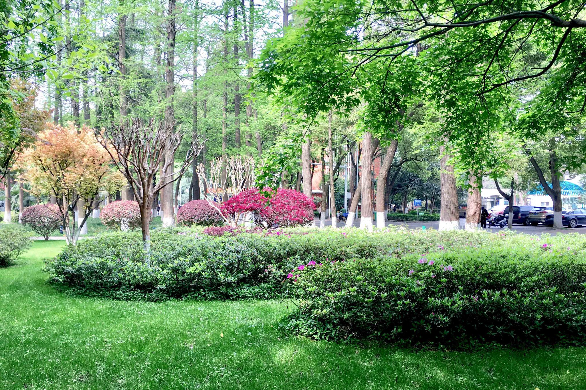 同济医学院校园小景【湖北 武汉】