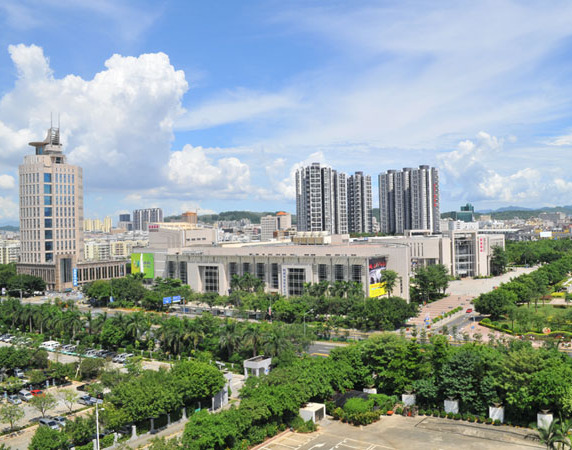 龙岗区侨青委 正式成立!