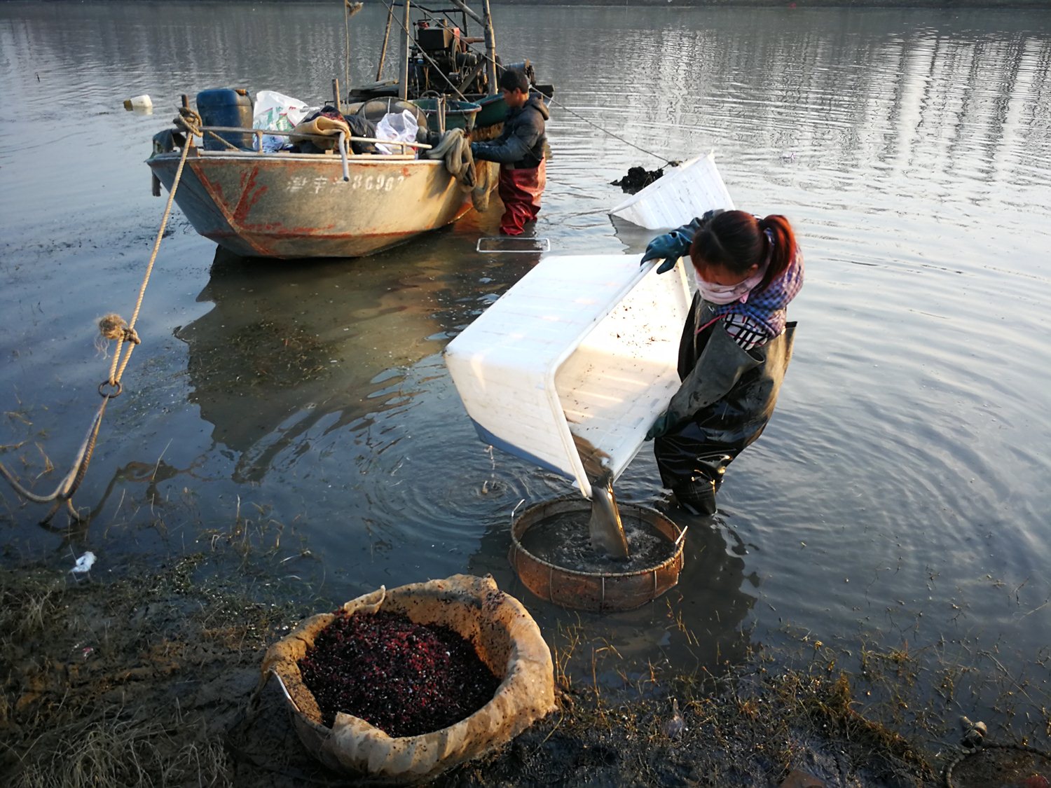 2019新年,农民在冰冷的河水里"淘金",手脚常被玻璃碴划破