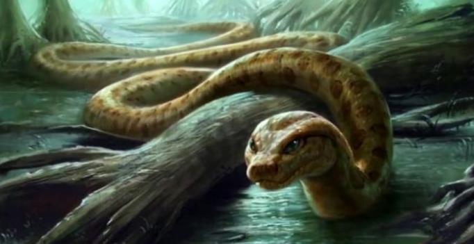 而泰坦巨蟒最大可以长到12米,相