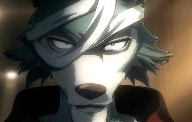 动物狂想曲第4话先行图公开 孟加拉虎代演出意外 雷狗子本能觉醒