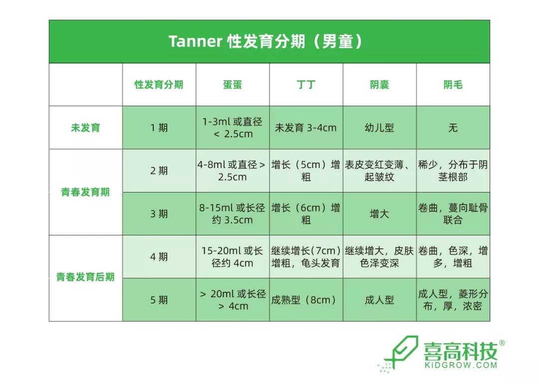 男孩子青春期发动的首要表现为(睾丸容积>4ml或睾丸长径>2.5cm).