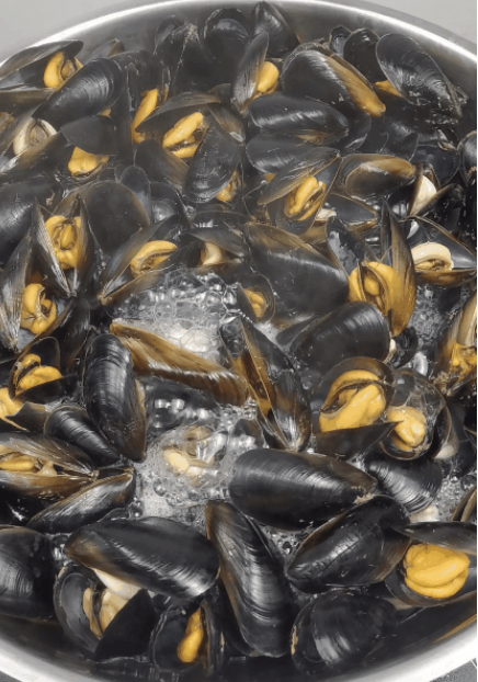 开春"第一鲜"现在吃正合适,才2块钱一斤,蒸一蒸超鲜美|海虹|海鲜|法国