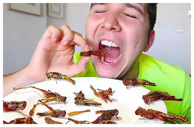 五种看着就"咽不下"的昆虫美食,全吃过的实乃真汉子
