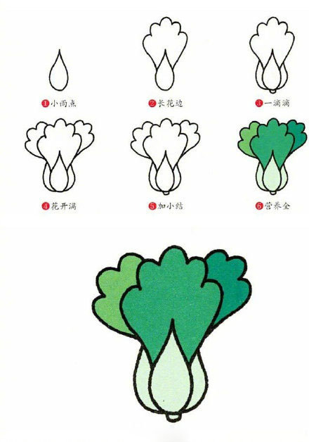 9种蔬菜简笔画小教程简单又好画67676767