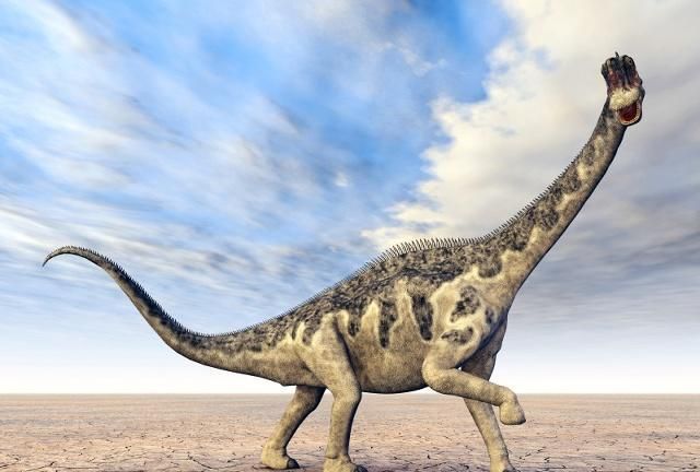 11月生肖龙机智过人做事心细如发家庭也幸福满满