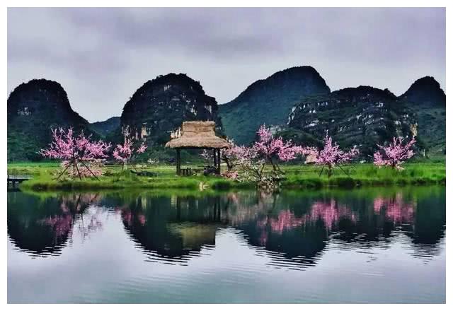 《三生三世》:青丘没有一兵一卒,天帝为何还要主动联姻?