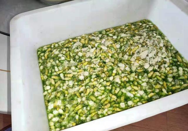 连云港有一种美食叫做豆丹