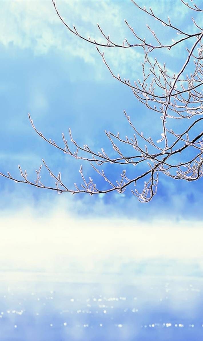 雪景壁纸 岁月不及时光长 思念长满左心房 雪景壁纸 岁月不及时光长 思念长满左心房