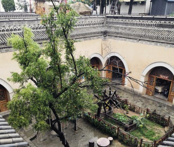 中国北方的“地下四合院”,进村不见房,闻声不见人,见树不见村