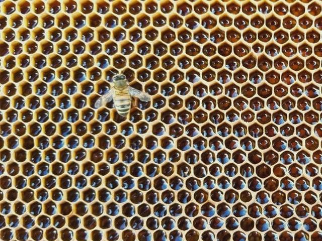 8,蜂窝弄在手掌中的摩丝看起来极其光滑,就像是某个固体,对于强迫症