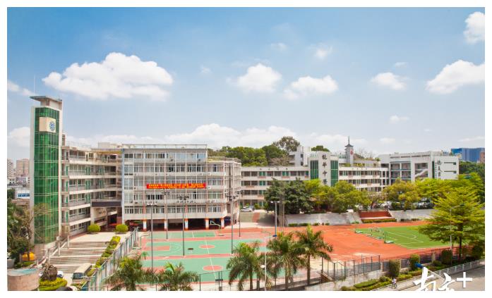 龙华中学构建"一体两翼"模式,推进学生全面发展