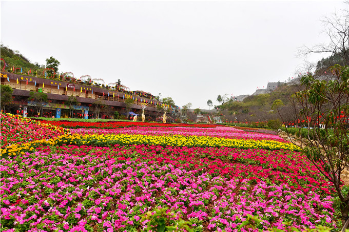广东花海欢乐世界送上春节旅游盛宴,江门街坊根本就不用出远门