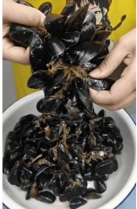 开春"第一鲜"现在吃正合适,才2块钱一斤,蒸一蒸超鲜美|海虹|海鲜|法国