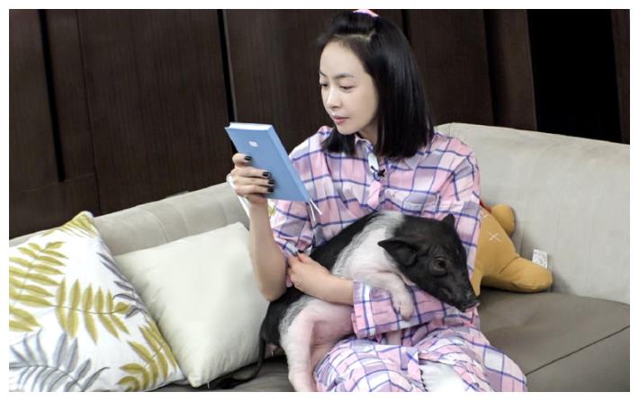 宋茜退出《我家那闺女》,新闺女带舅舅参加,得知是谁:来头不小