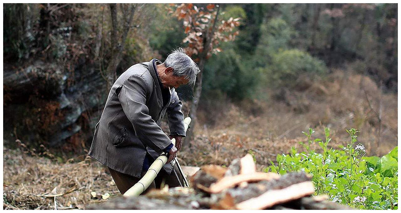 樵夫砍柴,回家路上不慎跌入地洞,次日醒来发现惊喜