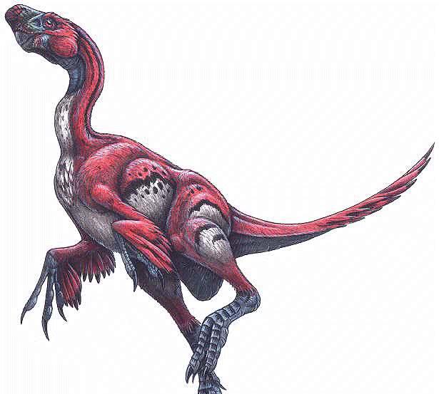 窃蛋龙是否像所说的那样会盗取其他恐龙蛋