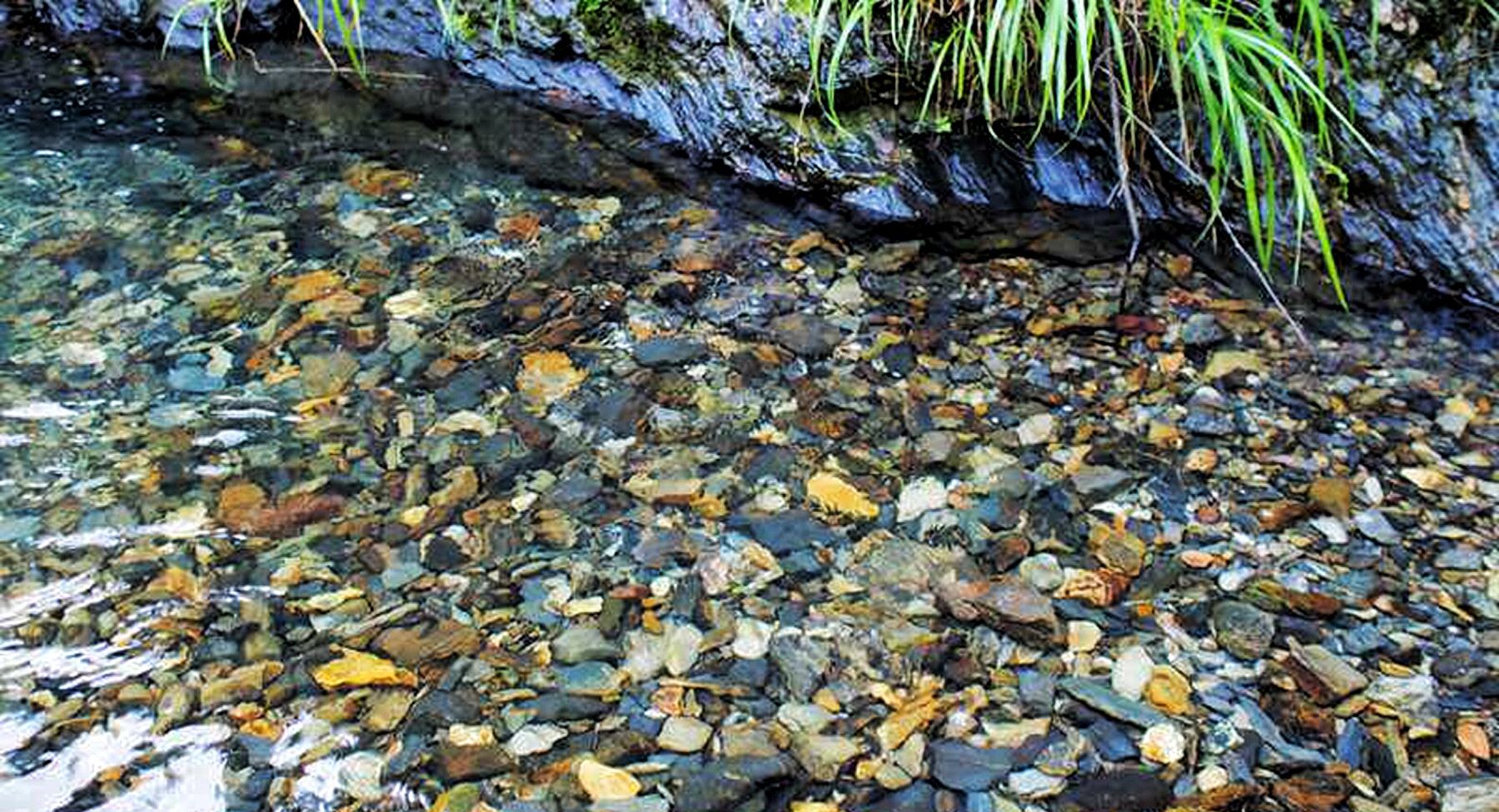冷水坑一座未开发的深山纳凉处女地被誉为江西遂川的小九寨