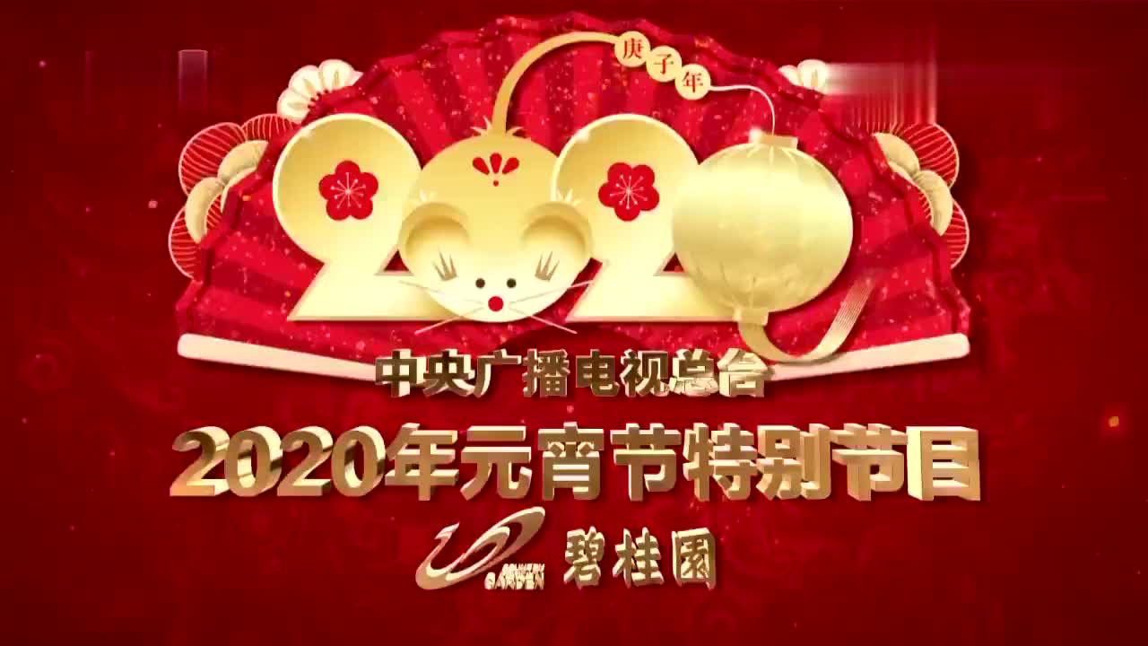 「2020年元宵节特别节目」李梓萌连线武汉市第二十九中学学生陈琪