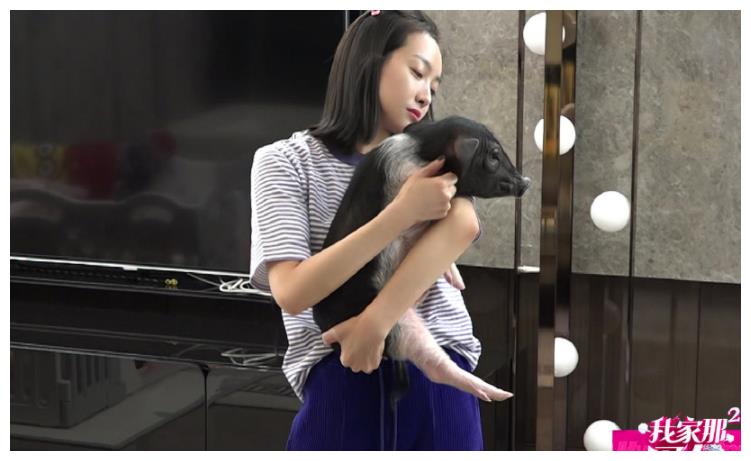 宋茜退出《我家那闺女》,新闺女带舅舅参加,得知是谁:来头不小