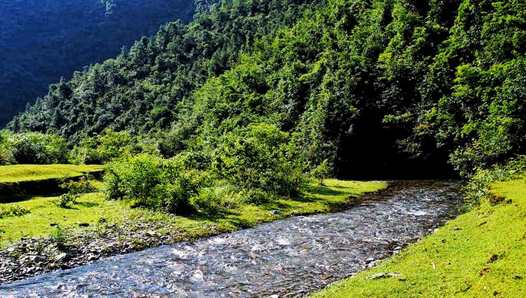 冷水坑一座未开发的深山纳凉处女地被誉为江西遂川的小九寨