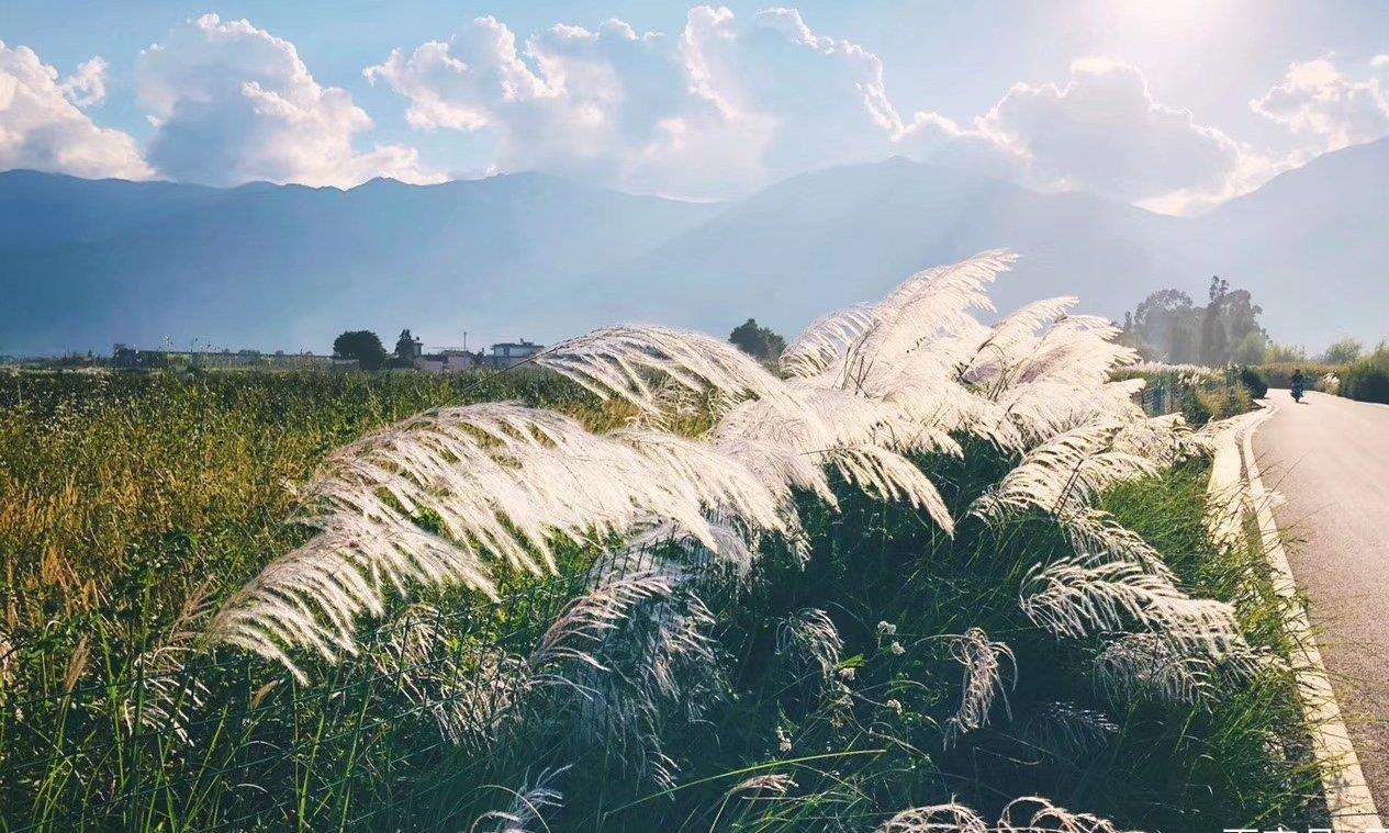 苍洱风光第一镇——双廊镇，下关风吹上关花，苍山雪照洱海月！_新浪新闻