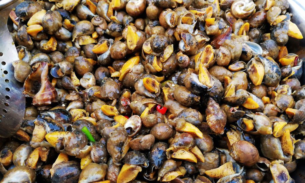 鲍螺,也叫粘螺,露在螺外的螺肉有点像鲍鱼肉,故而得名,又因为黏糊糊的