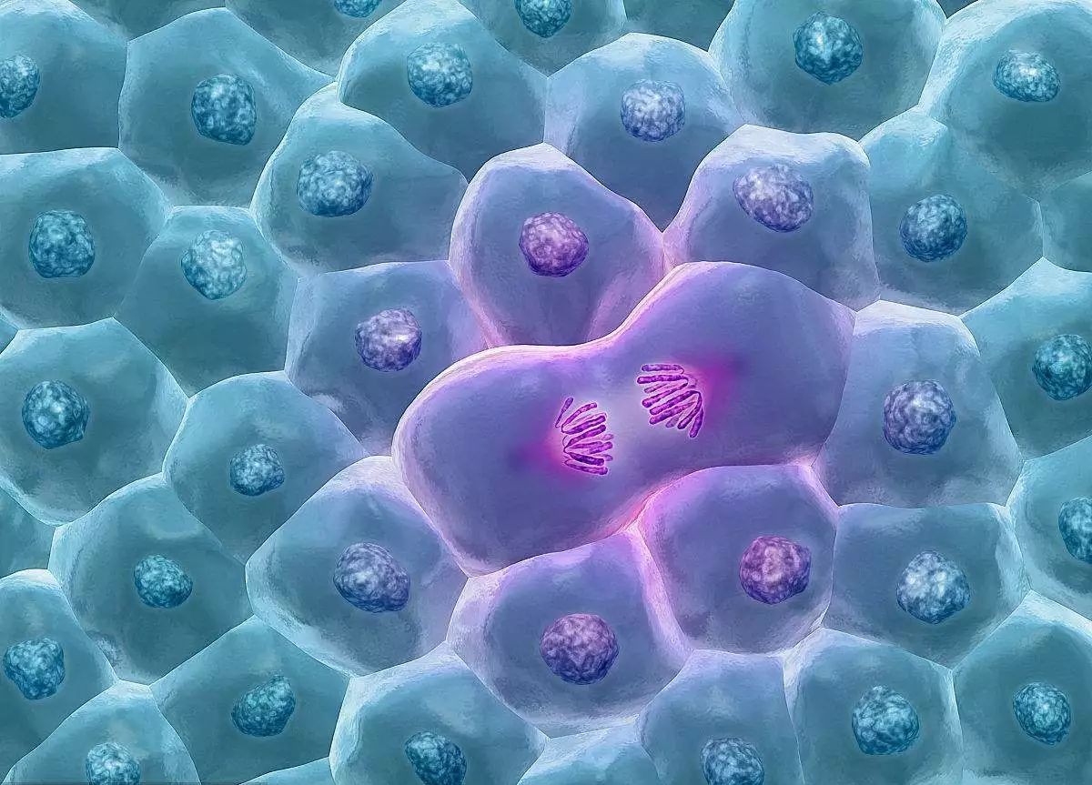 癌症|突变|细胞_新浪网