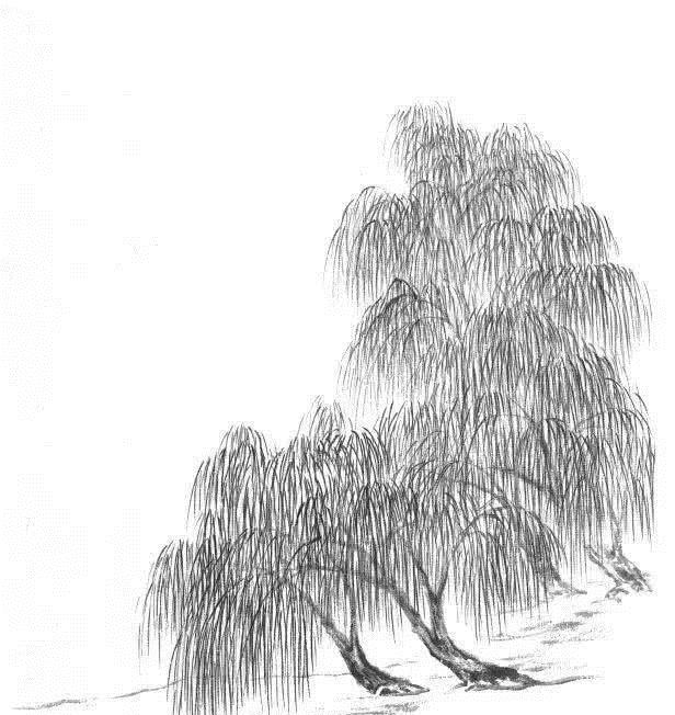 申石伽 画柳技法讲解|柳丝|叶柳|柳条_新浪新闻