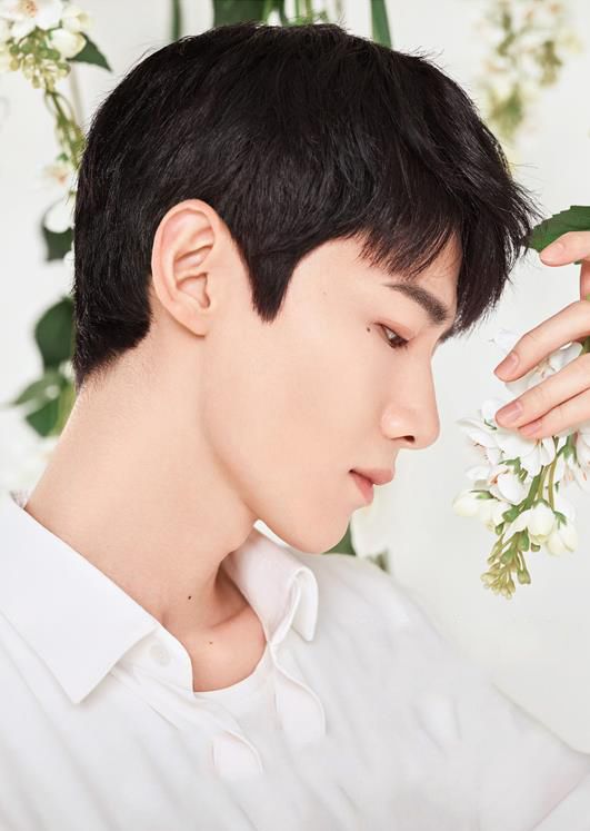 玉面小生白敬亭英俊脸庞惹人爱清雅气质魅力十足