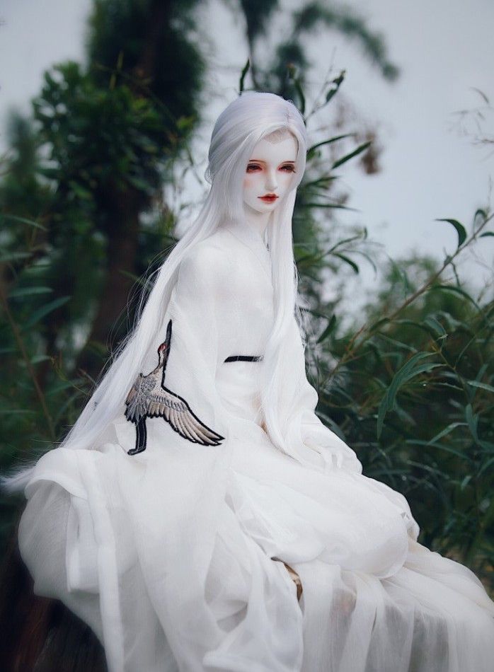 bjd娃娃美图白发银丝等君归只缘感君一回顾使我思君朝与暮