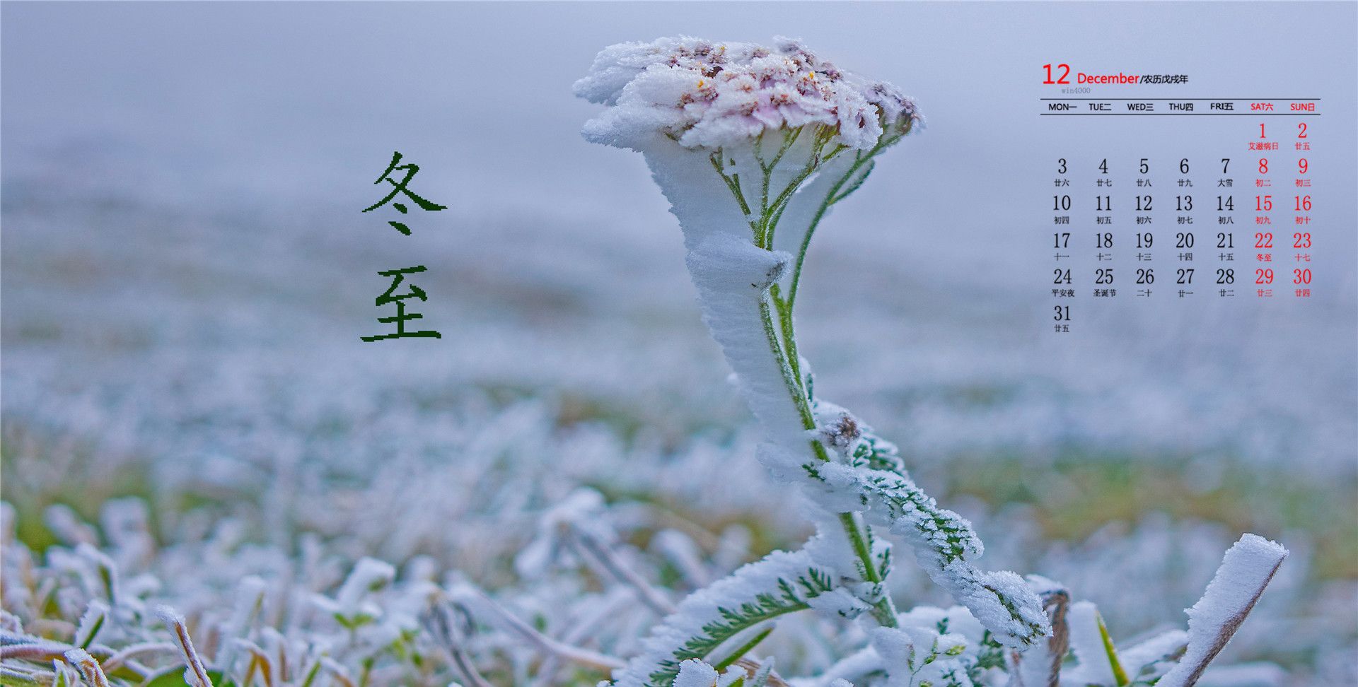 2018年12月冬至雪景唯美高清日历壁纸,分辨率:1920x1080