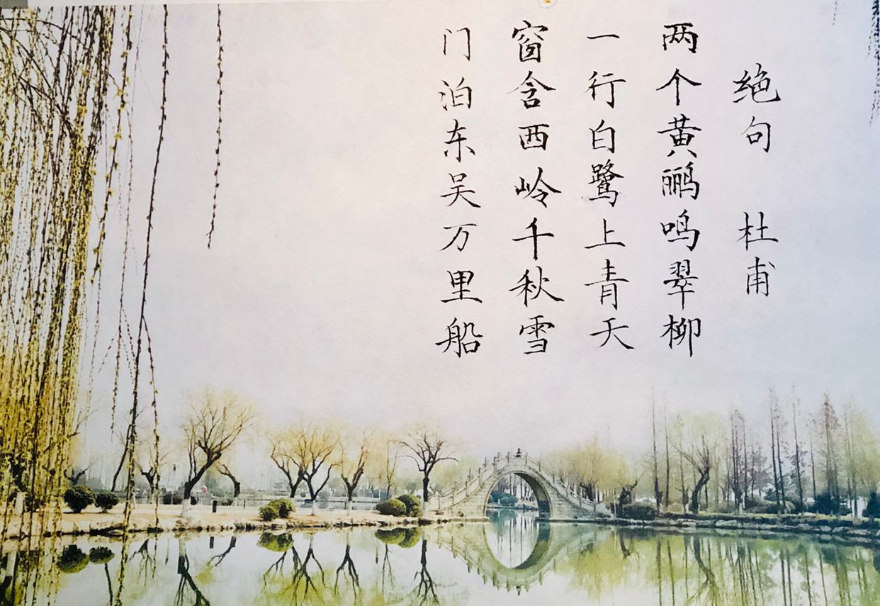 春天的翠绿充满着诗情画意,吟唐诗去感受那优美意境吧!请欣赏!