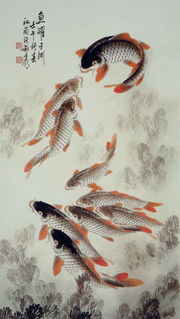 画鱼高手擅画鲤鱼迟明国画作品欣赏
