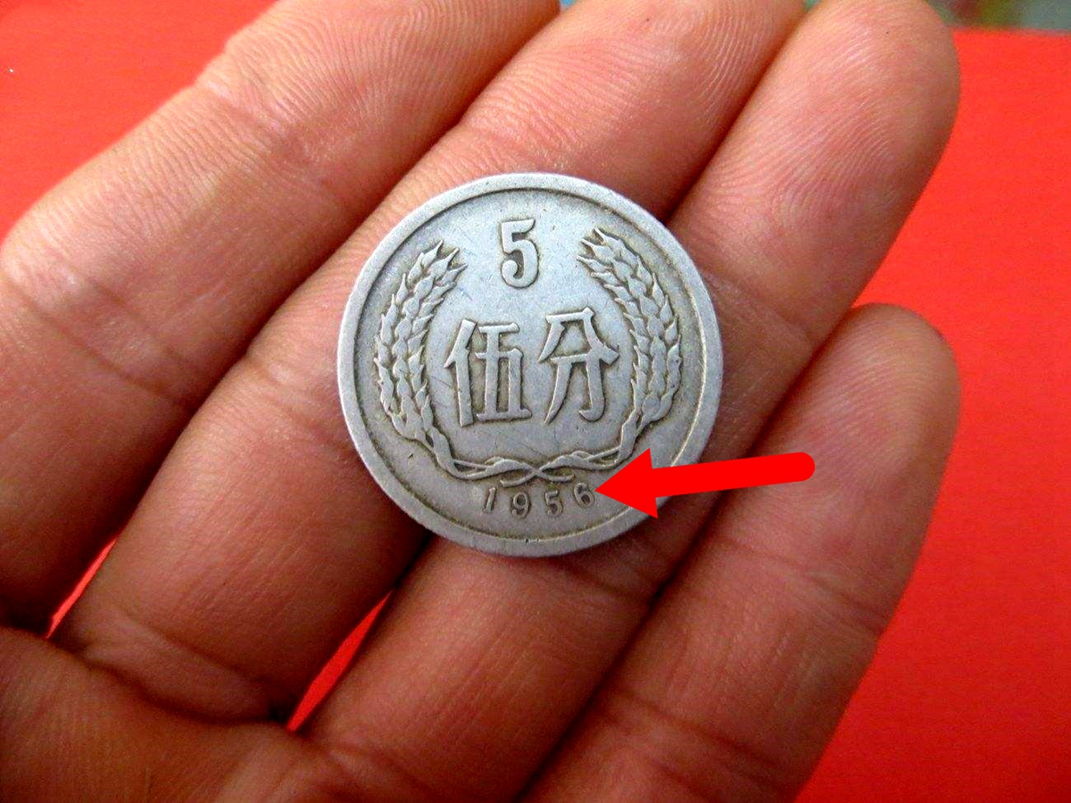 1981年5分硬币价格多少?行家:单枚能卖3200元!你能找到吗?
