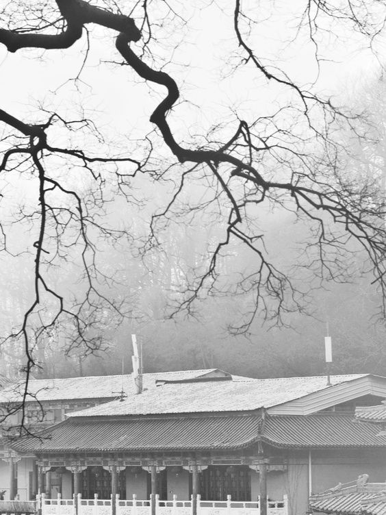 我的天空,不会一直灰暗!