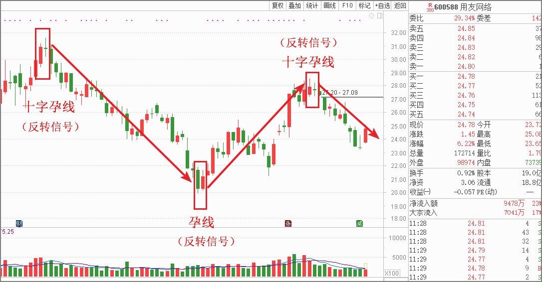如上图中的十字孕线,在一根很长的k线后出现了十字孕线,后成十字孕线
