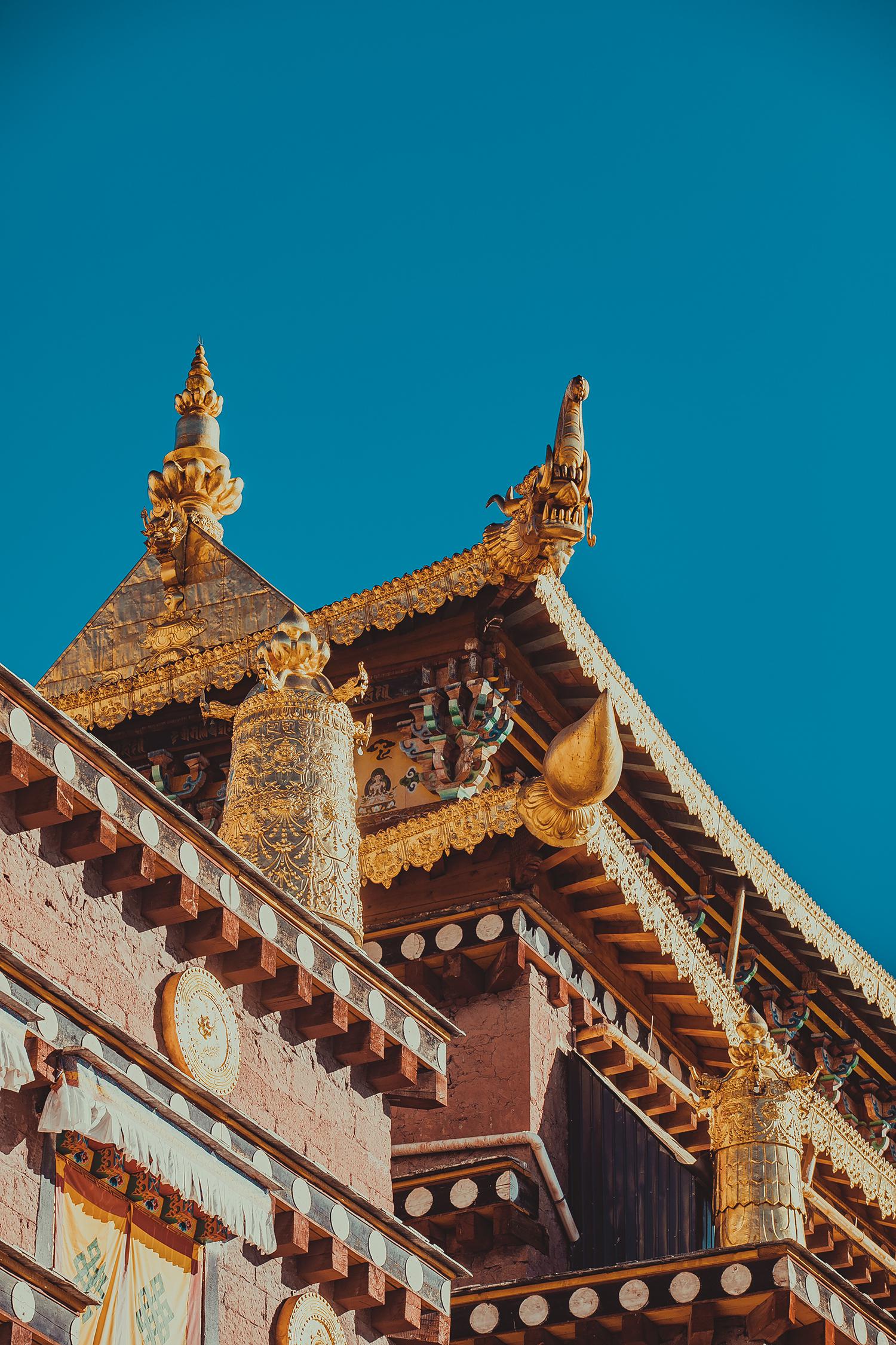 我零下十几度的气温里守候,终于拍到了难得一见的金色松赞林寺