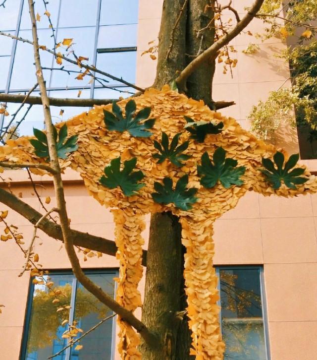 保洁工用银杏拼成风筝挂树上,每个大妈都是艺术家