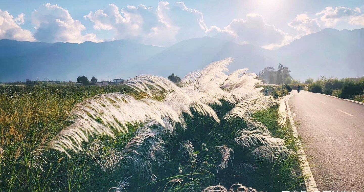 苍洱风光第一镇——双廊镇,下关风吹上关花,苍山雪照洱海月!